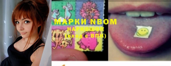 шишки Аркадак