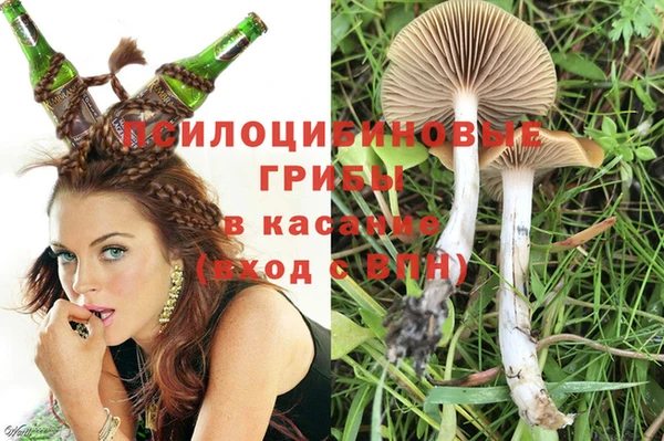 стаф Алексеевка