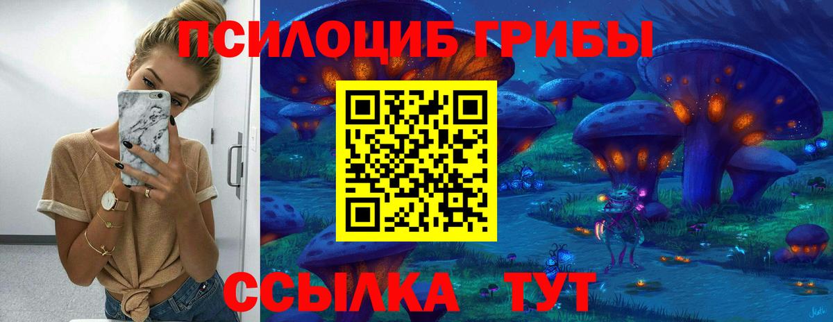 продажа наркотиков  Псилоцибиновые грибы мухоморы  Вход с VPN  Галлюциногенные грибы Cubensis  Тейково 
